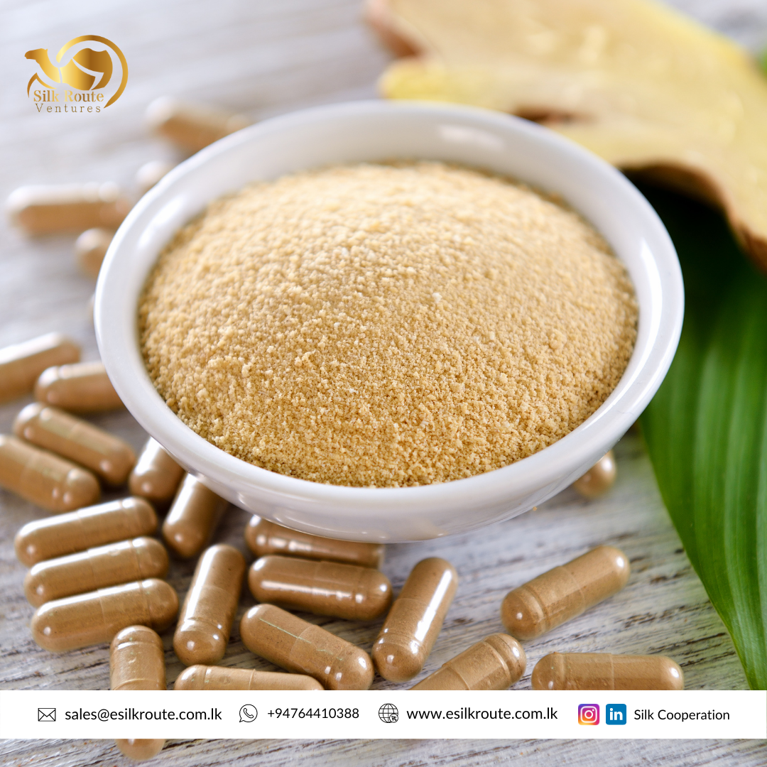 Organic Ginger Capsules in Bulk and Private Labeling Ekowarehouse